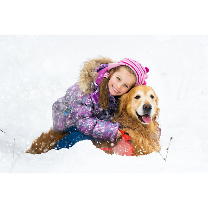 Road Runner Pet Friendly Ice Melt, 9lb Jug - open_box