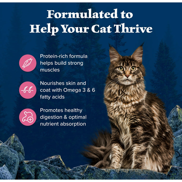 Blue Buffalo Wilderness Natural High Protein Dry Food for Adult Cats, Salmon, 4-lb Bag - new
