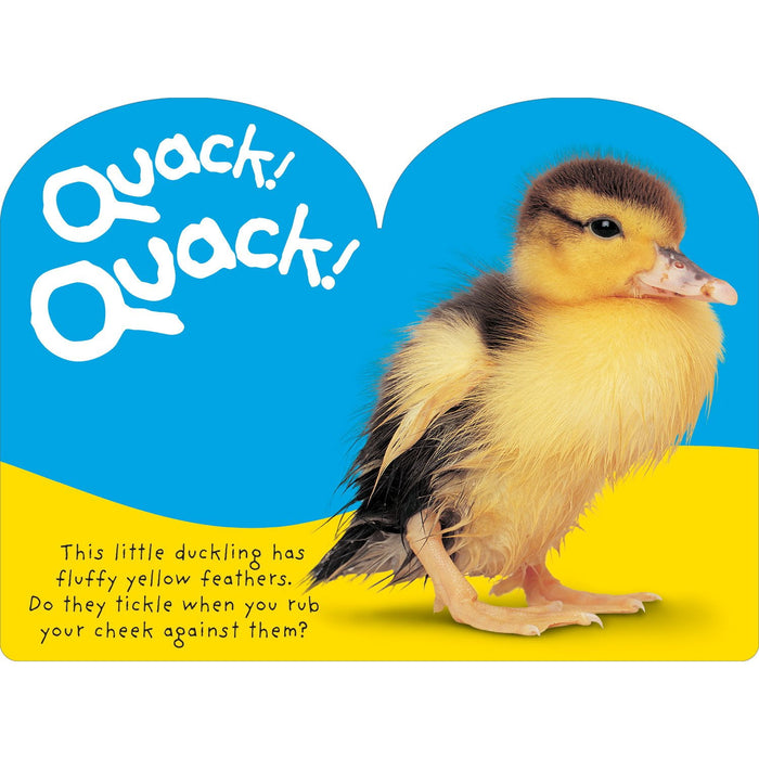 Baby Touch & Feel: Quack! Quack!, Board Book - open_box