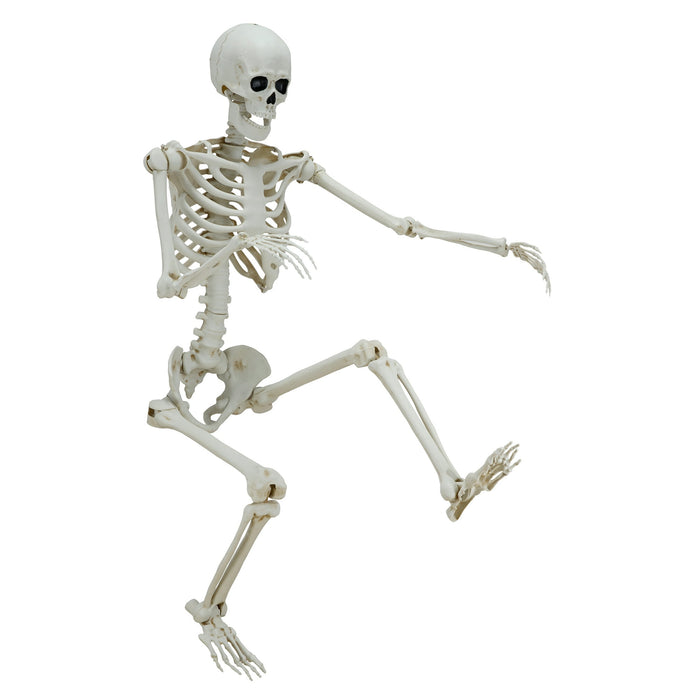 5ft White Poseable Skeleton Decoration, Halloween Outdoor Decor, by Way To Celebrate - new