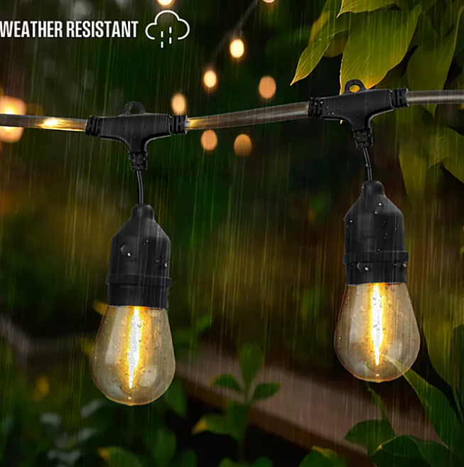 Westinghouse 48' Warm White LED String Light Set with Remote Control - open_box