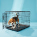 Vibrant Life Foldable 24" Metal Dog Training Crate with Divider Panel and Leak-Proof Tray