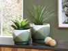 Signature Design Green/White Planter Set (2/CN)