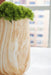 Signature Design Tan/White Vase