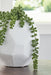 Signature Design White Vase