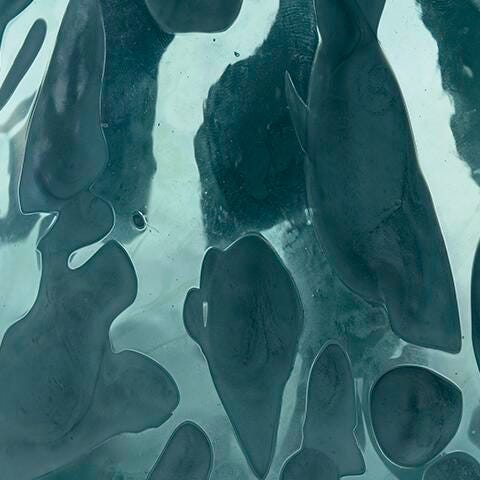 Signature Design Iridescent Teal Vase