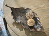 Signature Design Antique Copper Finish Sculpture