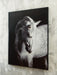 Signature Design Black/White Wall Art