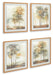 Signature Design Multi Wall Art Set (4/CN)