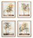 Signature Design Multi Wall Art Set (4/CN)