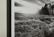 Signature Design Black/White Wall Art