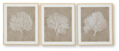 Signature Design Taupe/White Wall Art Set (3/CN)