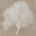 Signature Design Taupe/White Wall Art Set (3/CN)