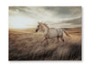 Signature Design Multi Wall Art