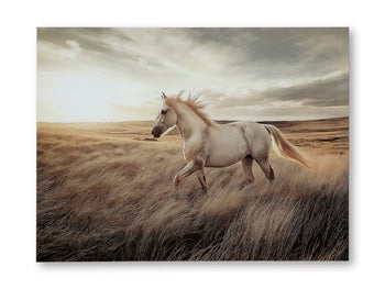 Signature Design Multi Wall Art