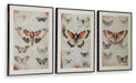Signature Design Orange/Black/Ivory Wall Art Set (3/CN)