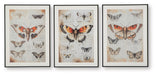 Signature Design Orange/Black/Ivory Wall Art Set (3/CN)
