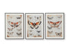 Signature Design Orange/Black/Ivory Wall Art Set (3/CN)
