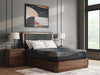 Sierra Sleep Black Full Mattress