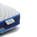 Nectar White Pillow (4/CS)