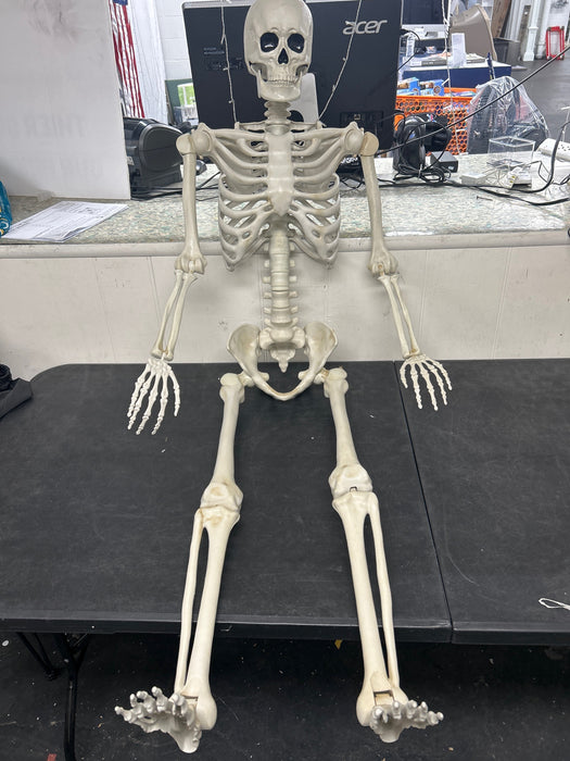 5ft White Poseable Skeleton Decoration, Halloween Outdoor Decor, by Way To Celebrate - new