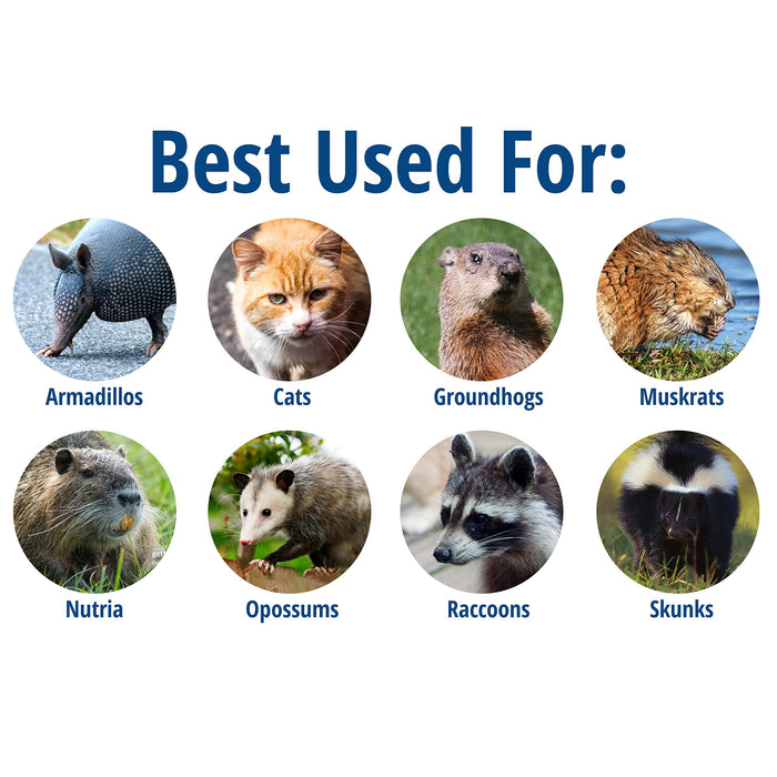 Havahart 1085 Large 1-Door Easy Set & Release Humane Live Animal Trap for Armadillos, Cats, Groundhogs, Muskrats, Nutria, Opossums, Racoons, Skunks, and Other Similar-Sized Animals - new