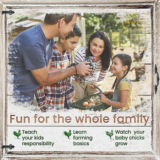 Hanover Outdoor Elevated Wooden Chicken Coop with Ramp, 3 Chicken Capacity, Large Wire Mesh Run, Waterproof Roof, Removable Tray - new