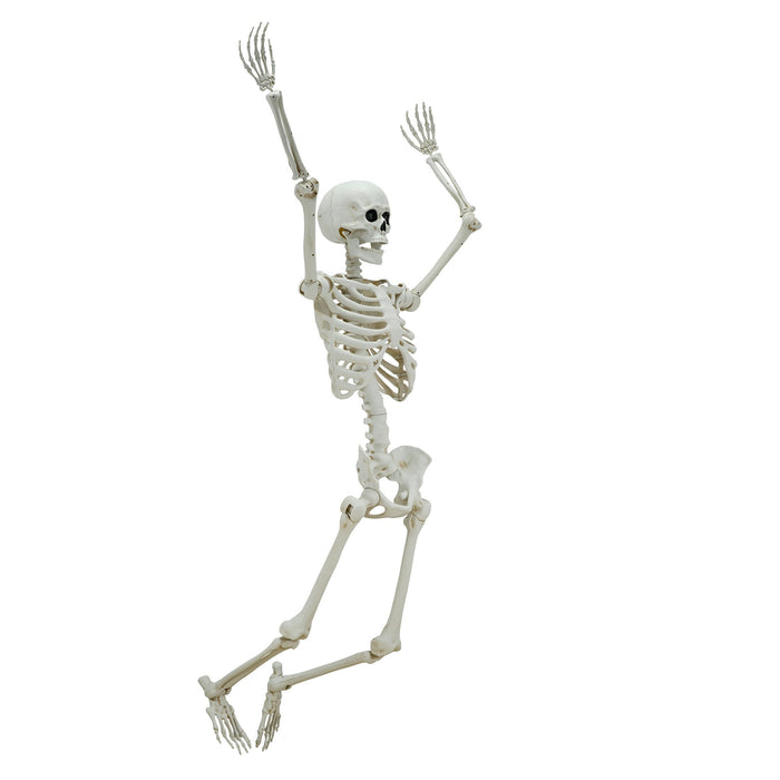 5ft White Poseable Skeleton Decoration, Halloween Outdoor Decor, by Way To Celebrate - new