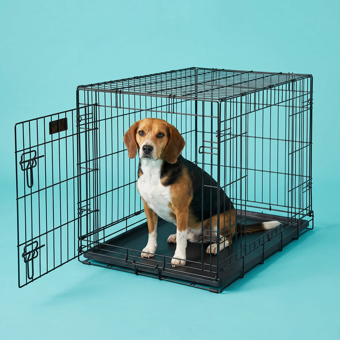 Vibrant Life Wire Dog Crate, Double-Door, Divider and Leak-Proof Tray, Metal, Foldable, Durable, Black, 36 in - new