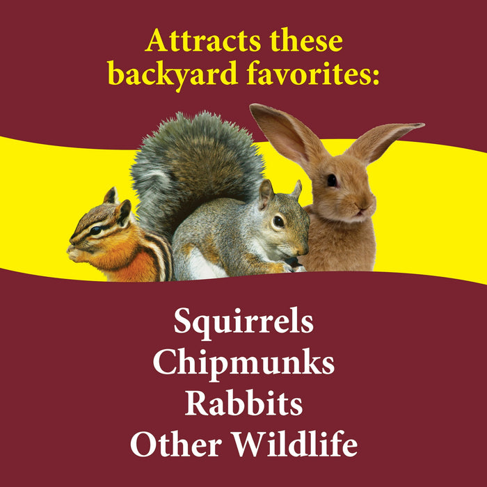 3-D Pet Products Premium Squirrel and Wildlife Food, 20 lb., Dry, 1 Pack - new