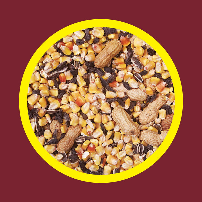 3-D Pet Products Premium Squirrel and Wildlife Food, 20 lb., Dry, 1 Pack - new