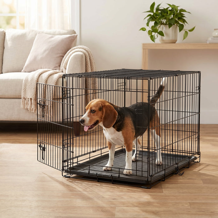 Vibrant Life Foldable 24" Metal Dog Training Crate with Divider Panel and Leak-Proof Tray