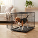 Vibrant Life Foldable 24" Metal Dog Training Crate with Divider Panel and Leak-Proof Tray