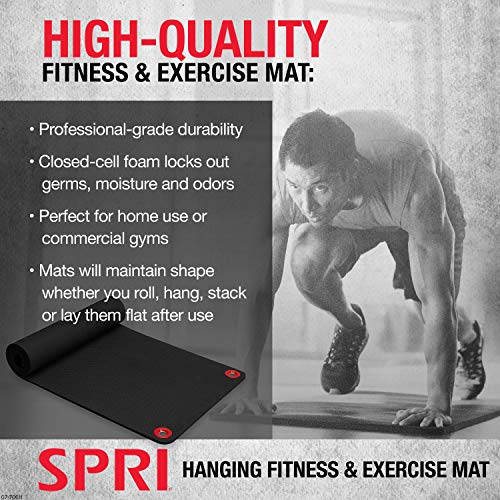 SPRI Hanging Exercise Mat, Fitness & Yoga Mat for Group Fitness Classes, Commercial Grade Quality with Reinforced Holes, 71 - new