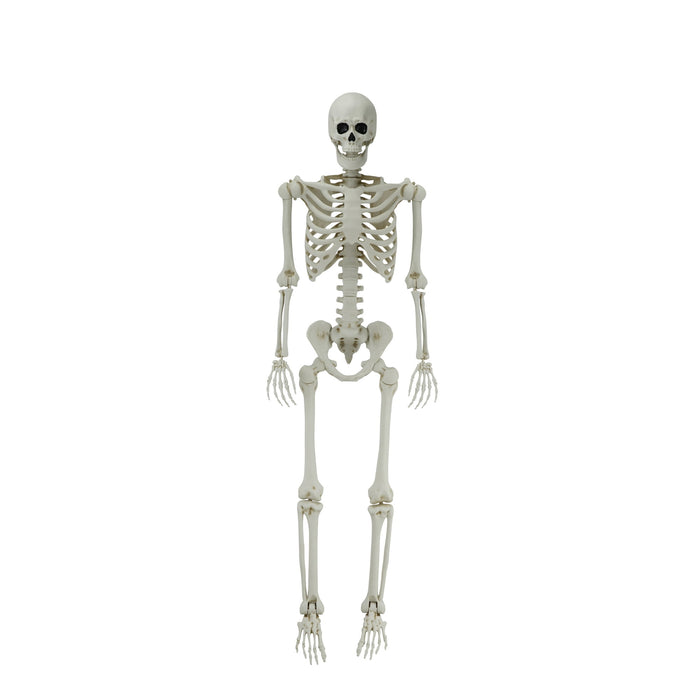 5ft White Poseable Skeleton Decoration, Halloween Outdoor Decor, by Way To Celebrate - new