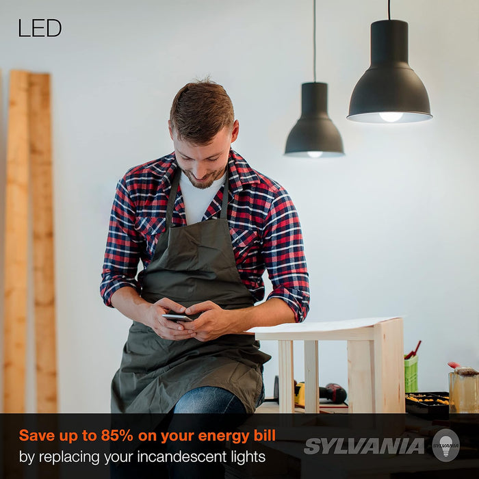 Sylvania LED Light Bulb, 60W Equivalent A19, Efficient 8.5W, Medium Base, Frosted Finish, 800 Lumens, Daylight - 4 Pack (79284) - new