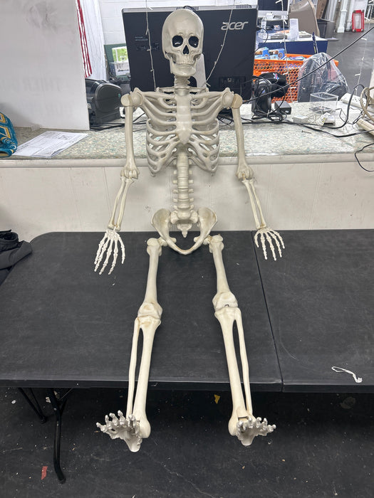 5ft White Poseable Skeleton Decoration, Halloween Outdoor Decor, by Way To Celebrate - new