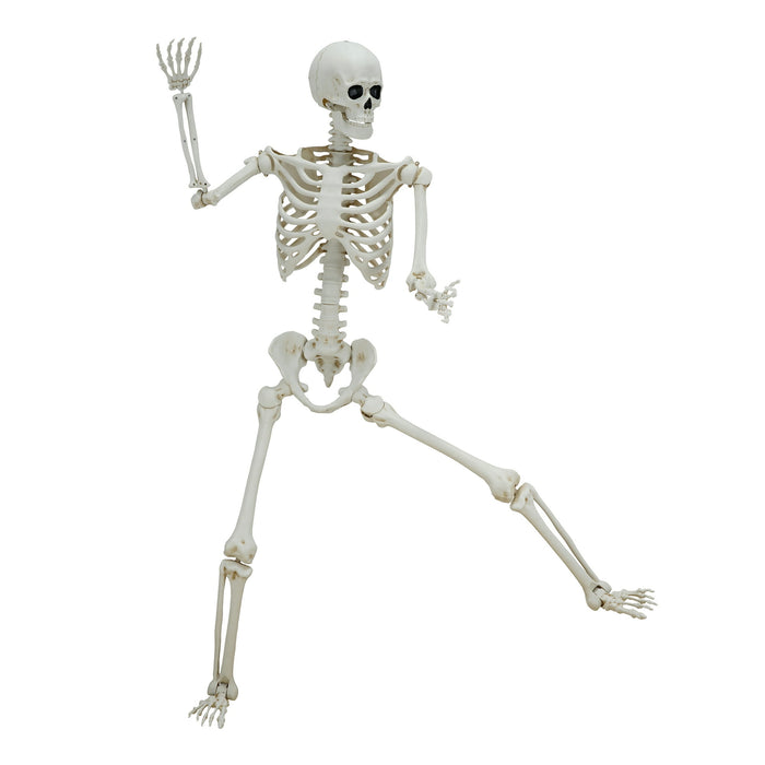 5ft White Poseable Skeleton Decoration, Halloween Outdoor Decor, by Way To Celebrate - new